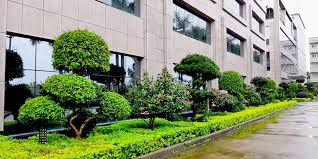贝博中国 汉沽市政绿化种植土单价